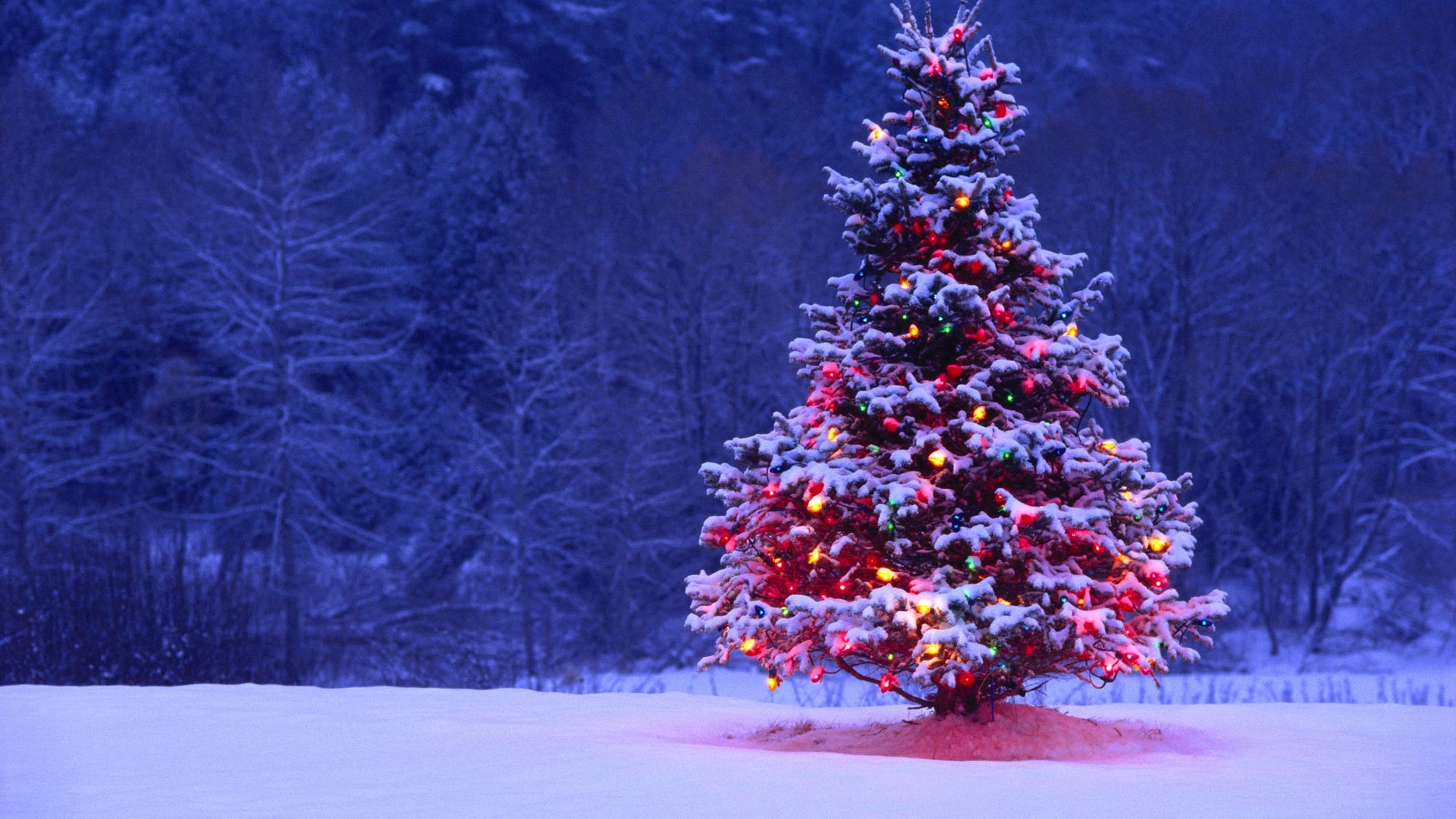 Christmas Vacation Songs Pictures Wallpapers